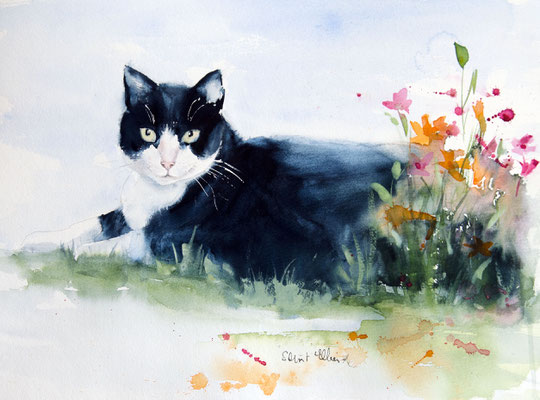 aquarelle de chat