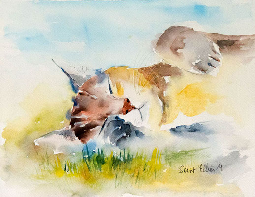 aquarelle de chat qui sommeille dans l'herbe