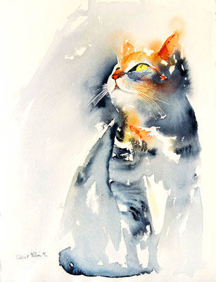 Aquarelle de chat qui regarde en l'air - 28 x 38 cm