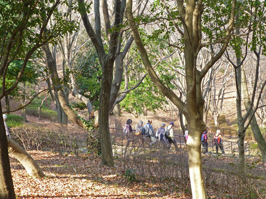 今川公園