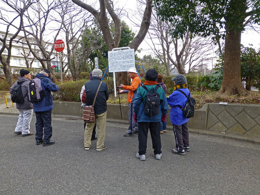 ウォーキング参加者