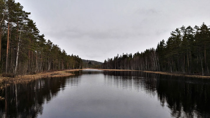Verwunschene Seen im Wald