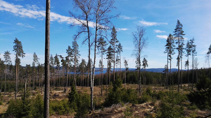 Dann in der Ferne Ludvika