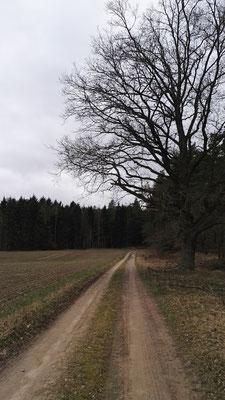 Der Frühling lässt auf sich warten