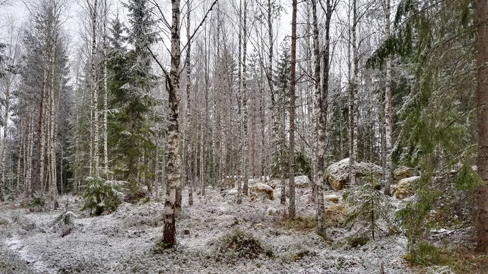 Plötzlich wird es Winter