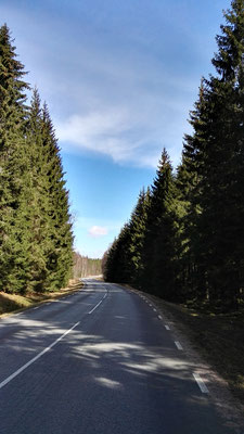 Einsame Landstraßen ziehen sich durch endloses Tannendickicht