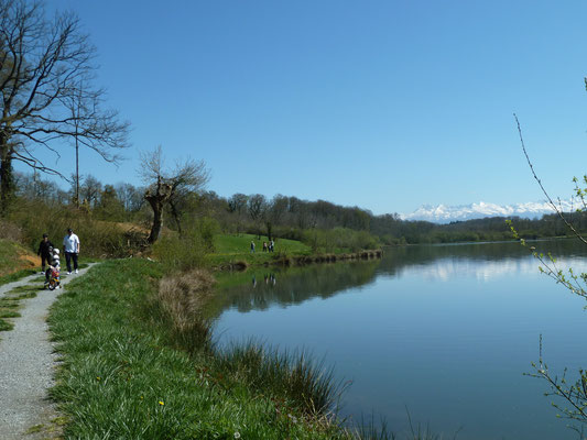 Balade à roulettes du petit lac du Gabas Luquet - Tourisme Béarn Madiran