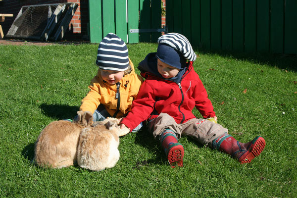 Kinder streicheln zwei Kaninchen