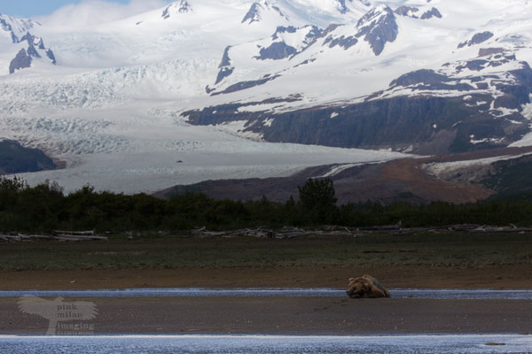 Hallo Bay, Katmai National Park Alaska (AK) USA