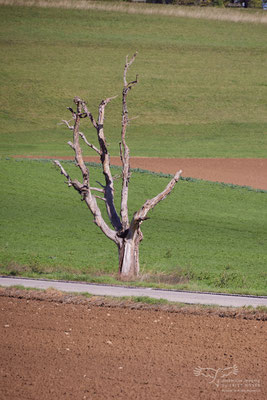 Nähere Umgebung Mariastein