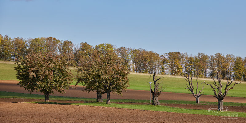 Nähere Umgebung Mariastein