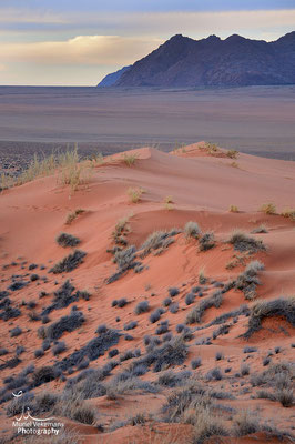 Gastehaus Namib rand