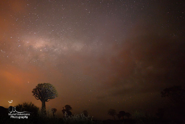 Keetmanshoop forêt d’arbres à carquois photos de nuit.