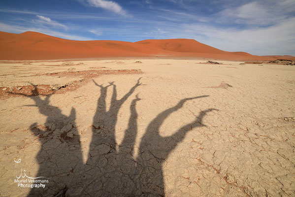 Namib desert deadvlei