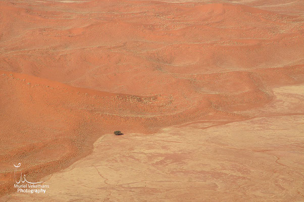 Namib-Naukluft National park