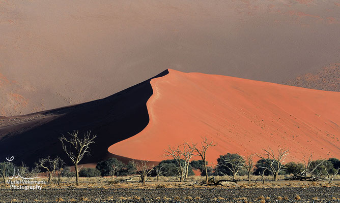 Sesriem Namib dunes