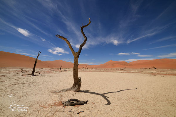 Namib desert deadvlei