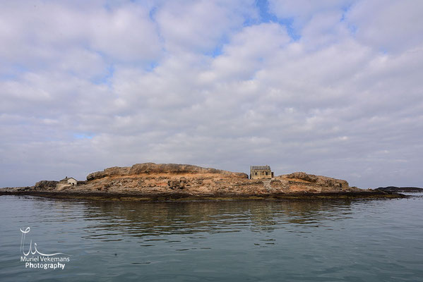 Lüderitz croisière ile d'halifax