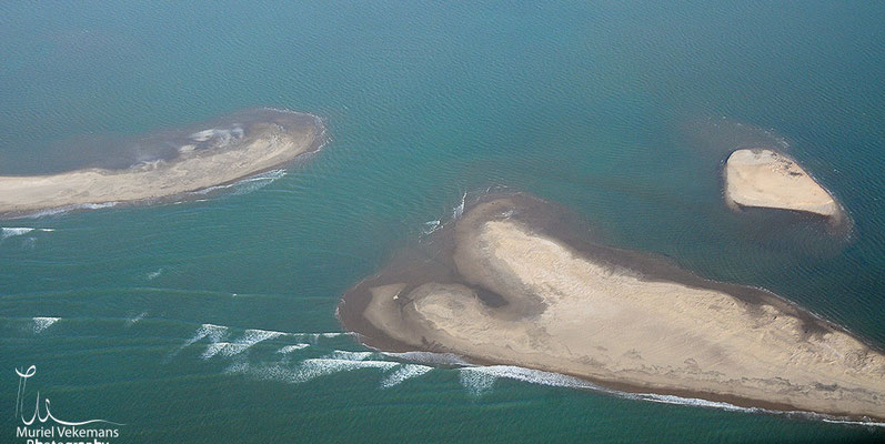 Skeleton Coast