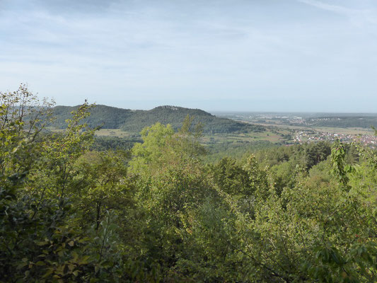 ... ein erster Ausblick Richtung Walberla und Forchheim