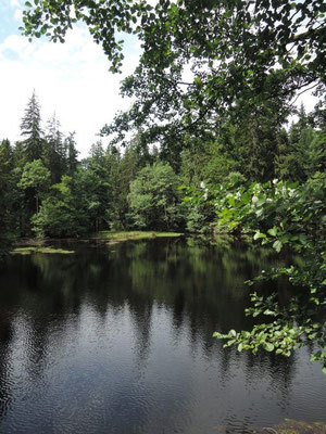 Zinnschützweiher