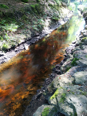 Auf dem Weg zur Steinklamm