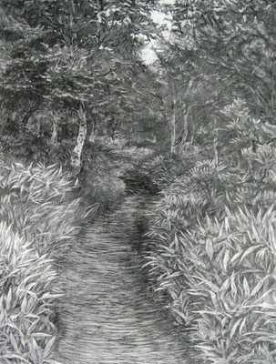 道「根子岳」/2007 鉛筆 650x500mm
