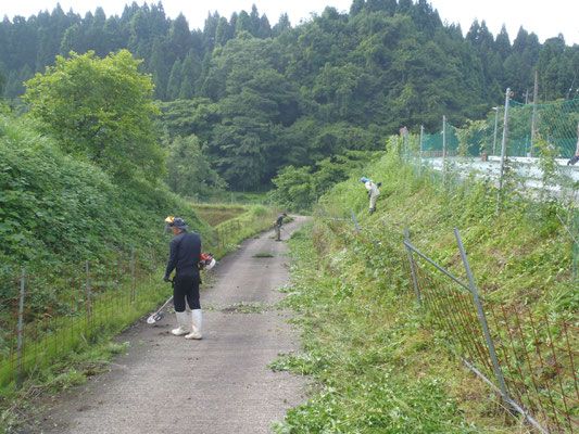 道路脇法面の草刈
