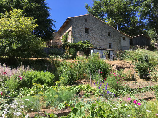la maison et la serre à semis vues depuis le jardin potager