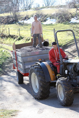 transport des châtaignes séchées avant décorticage