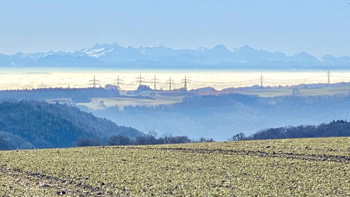 Die Churfirsten, gehören zu den Appenzeller Alpen