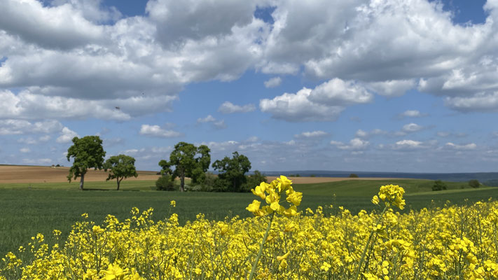 Oberhalb Wutach Ewattingen