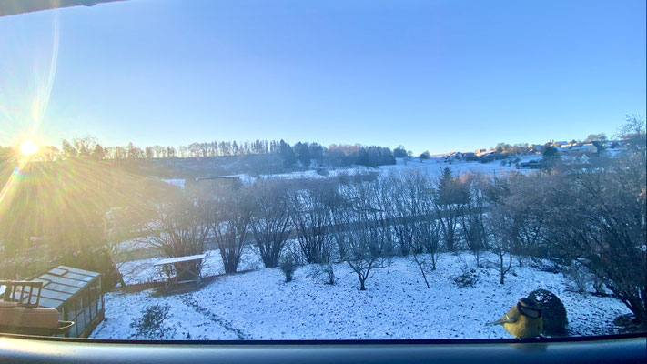 Blick aus dem Fenster, besucht ist da