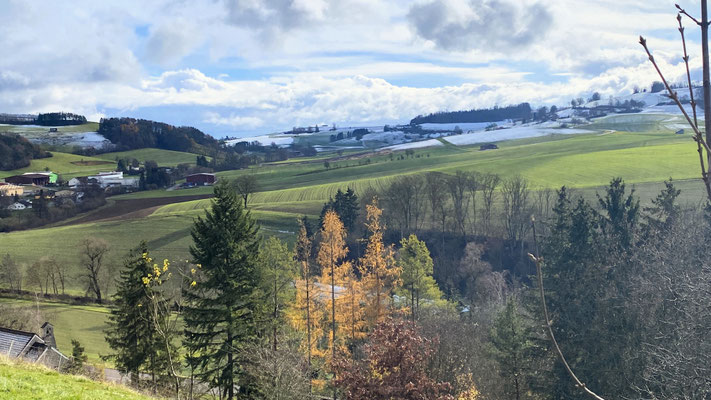 Spaziergang bei Schleitheim CH, Nov.24