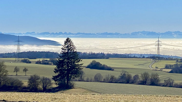 Fernsicht von Münchingen in die Schweizer Alpen