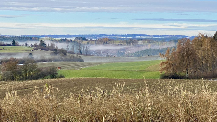 Blick zur Schweiz von oberhalb Münchingen