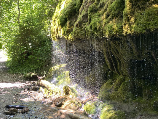 Dietfurter Wasserfall