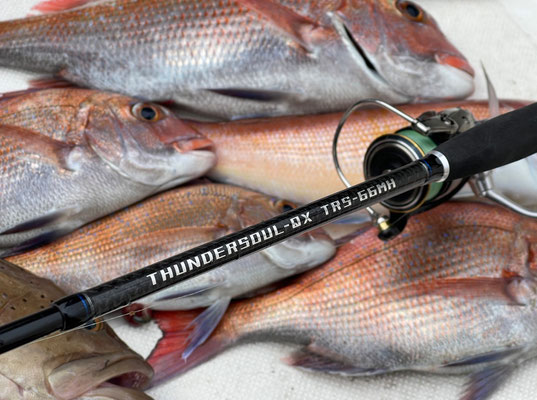 THUNDERSOUL-QX TRS-66MH - 櫻井釣漁具株式会社