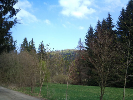 Taubenwiese mit Blick zum Oberen Eibenstein
