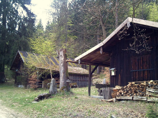 Forsthütte an der Taubenwiese