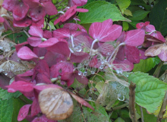 Lauenförde im Herbst 2011