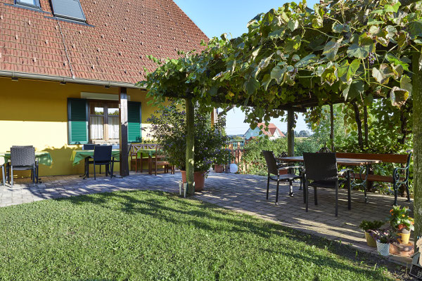 Weinlaube und Terasse