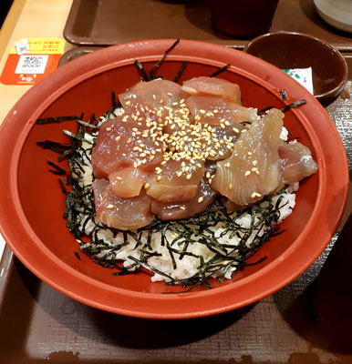 Magurodon