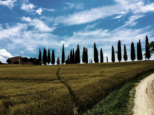 Bauernhof in der Toscana
