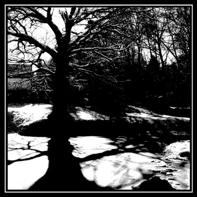 Baum mit Schatten
