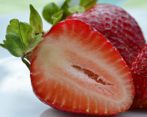 Erdbeere