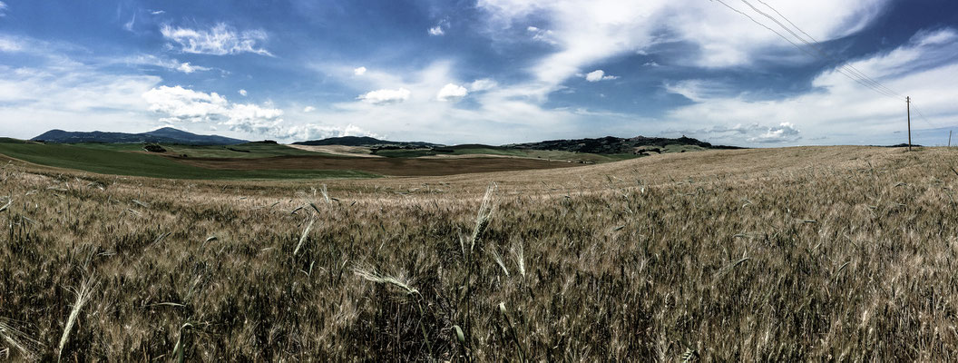 Landschaft in der Toscana