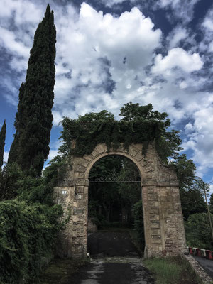 Siena