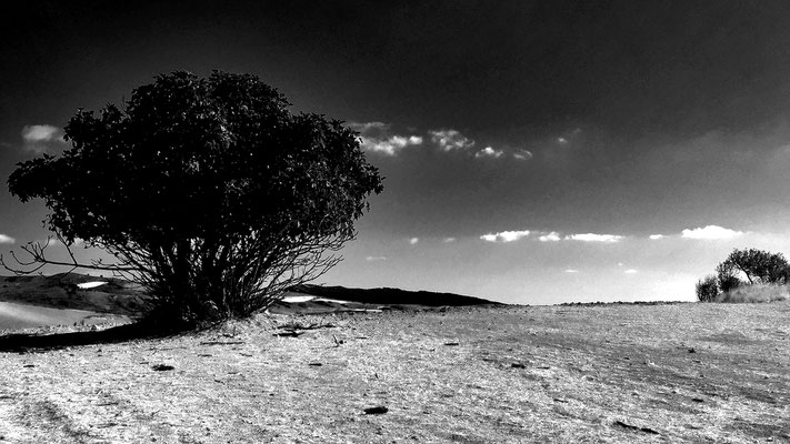 Landschaft bei Pamplona