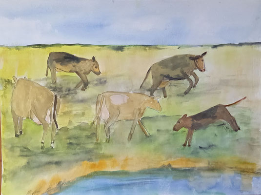 Junge Kühe am Priel, 2020, Aquarell auf Papier, 29,5 X 40 cm